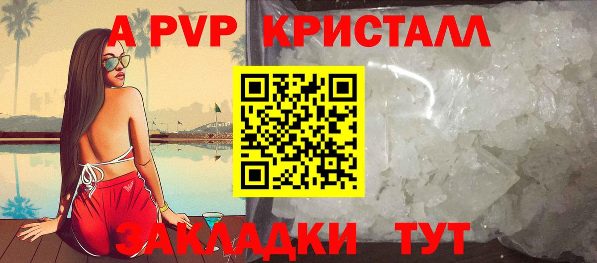 Alfa_PVP СК КРИС Майкоп