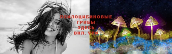 амф Арсеньев