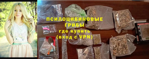 шишки Аркадак