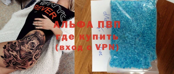 шишки Аркадак