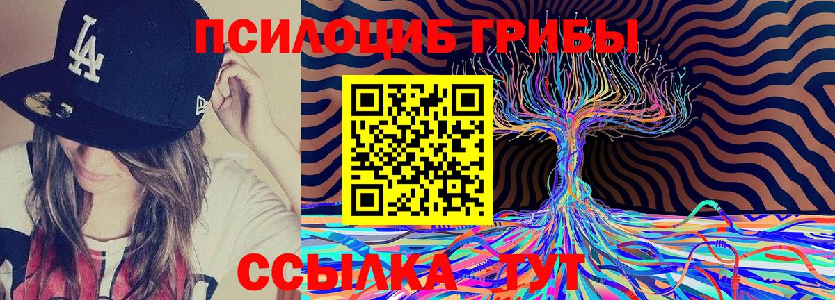 Псилоцибиновые грибы мицелий Майкоп