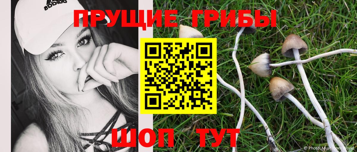 Галлюциногенные грибы прущие грибы  Псилоцибиновые грибы Psilocybe  Майкоп  Вход с VPN 